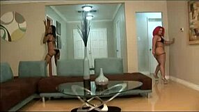 Tattooed sluts in fishnets and lingerie use their sex toys
