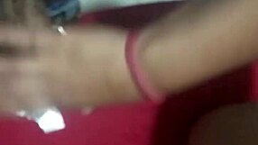 Amateur escort provides a sexual service of purity