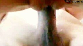 Bbw Latin MILF fucked in the pov Lifestyle