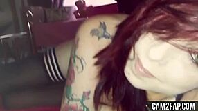 Milf cams of hd Lesbians, big tits naked pussy