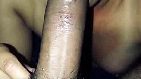 A Latina babe exhibition naked for you – giving a blowjob to a huge cock