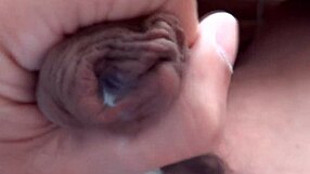 Erection fills wife’s face, tits, and a bushy twat with thick man’s semen