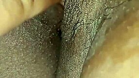 Indian wife's smooth and hairless pussy is licked by her husband