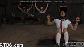 Songs for those into BDSM and sadomasochism
